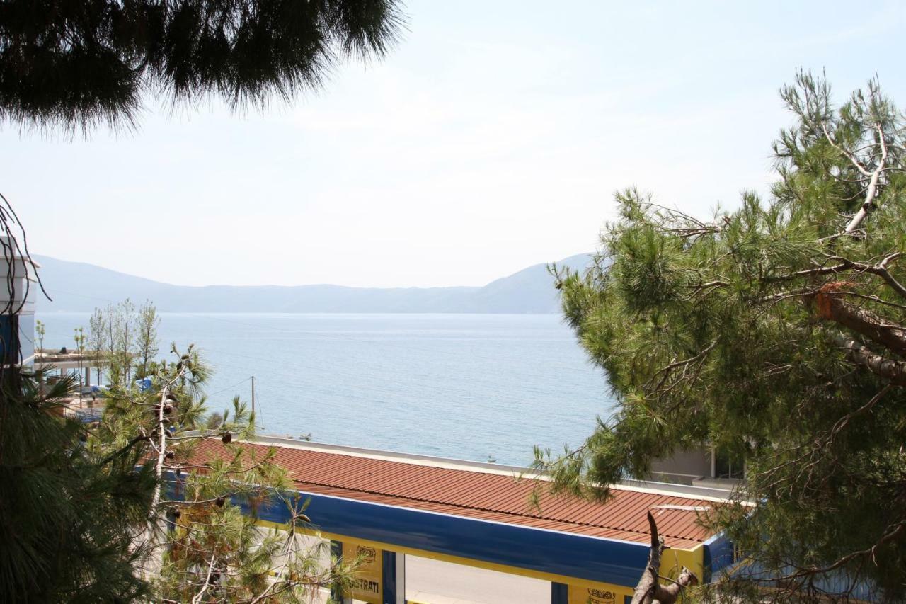 Green Vlorë